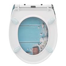Toilet Seat