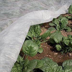 voile d'hivernage et protection pour cultures