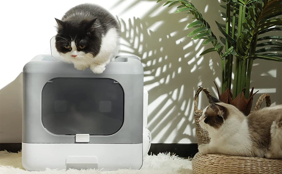 bac à litière chat lapin xxl design anti odeur fermée angle autonettoyante xl haut angle grande