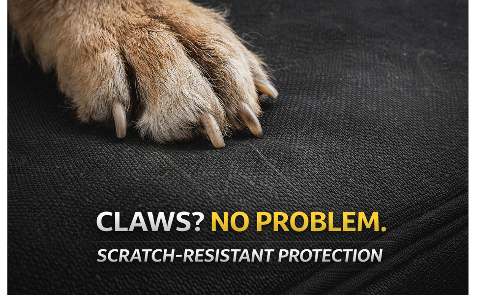 Text reads 'CLAWS? NO PROBLEM.' and 'SCRATCH-RESISTANT PROTECTION'. Close-up of animal paw on dark textured protective mat surface demonstrating durability.