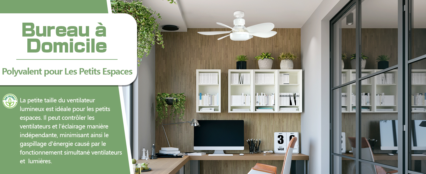 Ventilateur de Plafond Silencieux avec Lumiere et Telecommande Ventilateurs de Plafond avec Lampe