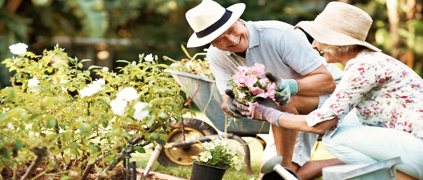Two people in hats kneeling in a garden, examining and tending to flowering plants and shrubs.