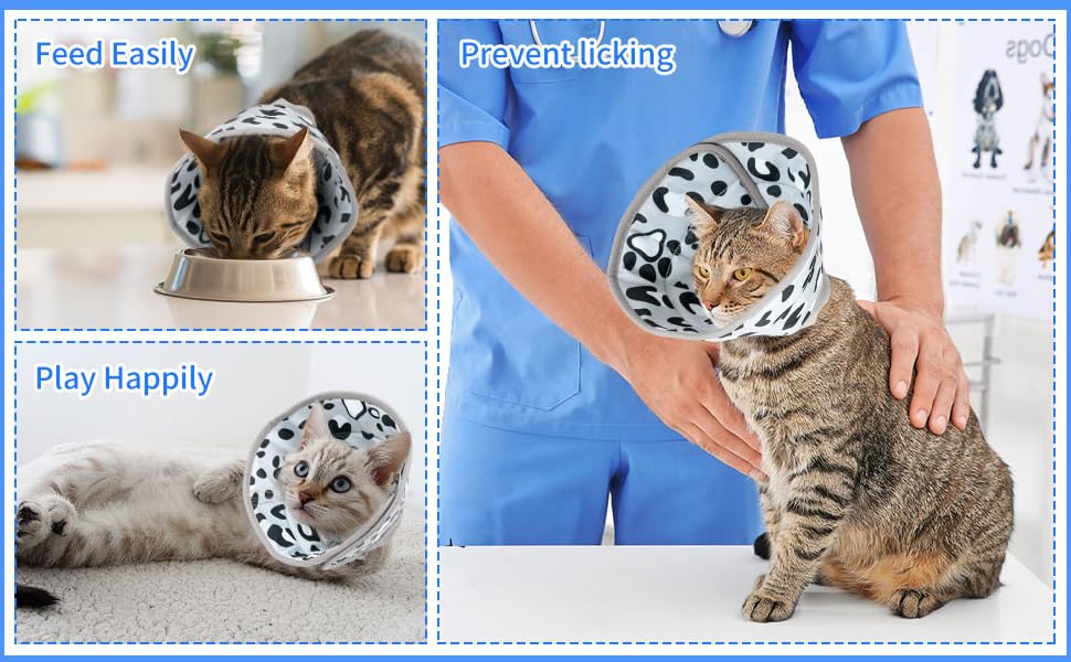 Collar antilamidos para gatos