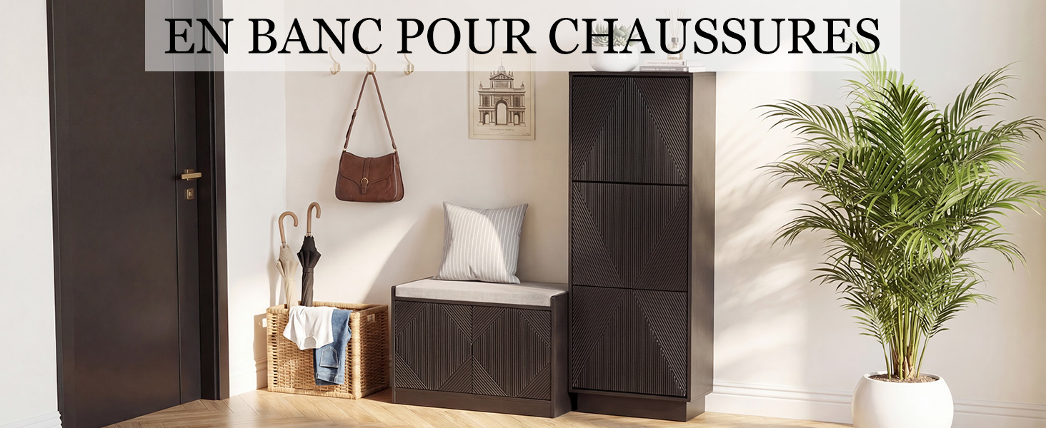 Le texte se lit comme suit : « EN BANC POUR CHAUSSURES ». Étagère intérieure avec chaussures, bouteilles, cosmétiques et plantes en pot dans un agencement minimaliste.