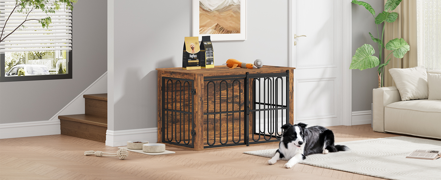 Cage Chien