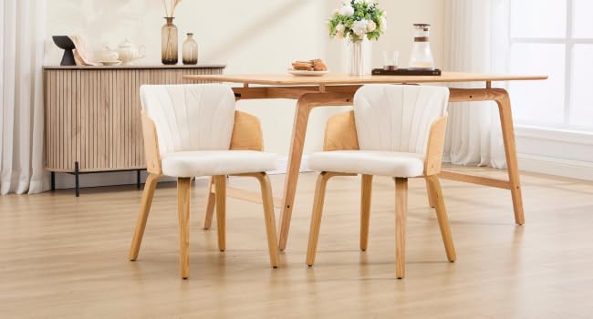 Chaise de Salle à Manger Rétro