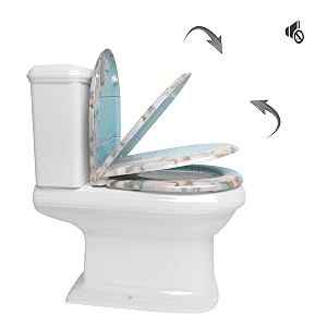 Toilet Seat