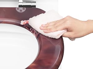 WS2981