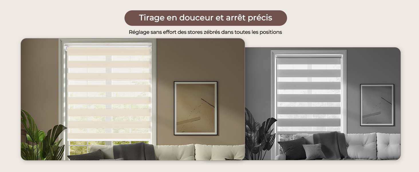 Vues multiples d'un espace intérieur moderne montrant des unités de rangement blanches sur des murs gris ornés de plantes décoratives et d'œuvres d'art.