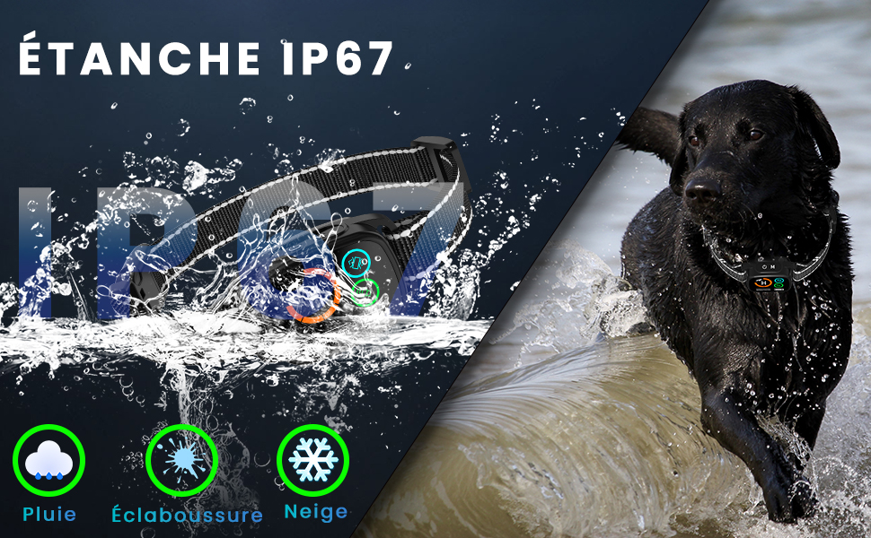 Collier Anti Aboiement Chiens