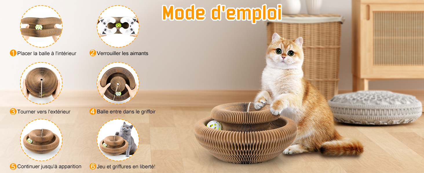 con un gatto seduto accanto. Sei icone mostrano le caratteristiche del prodotto, tra cui il design espandibile, l'aggiunta di erba gatta e la base antigraffio. Istruzioni in francese.