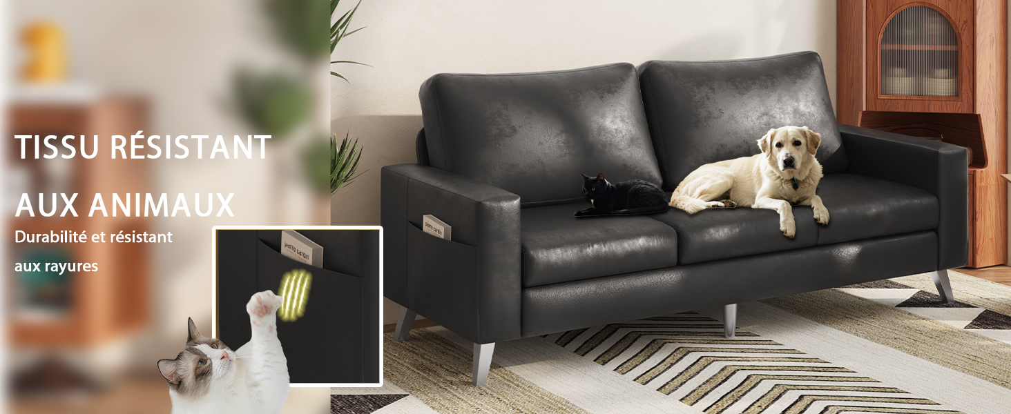 Les inscriptions « TISSUE RESISTANT » et « AUX ANIMAL » sont inscrites sur un canapé en cuir noir avec des coussins décoratifs dans l'espace intérieur du salon aux tons chauds.