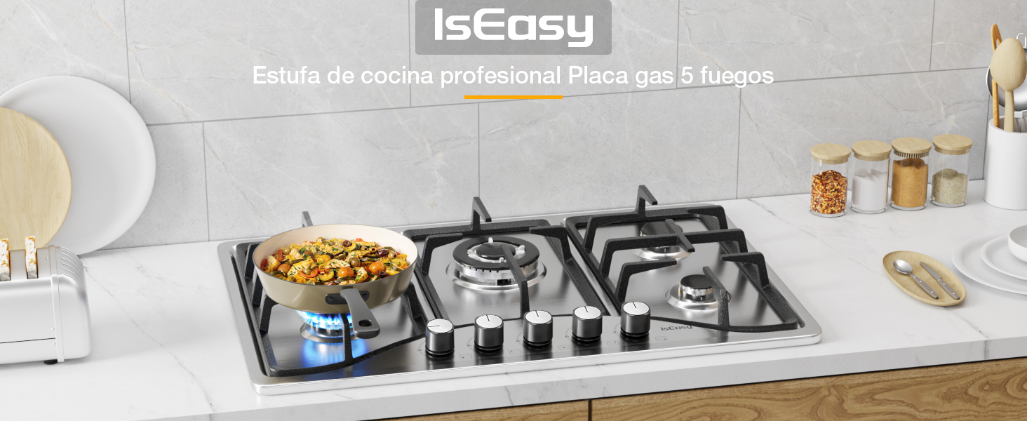 Placa de gas 5 fuego