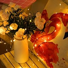 guirlande led blanc chaud