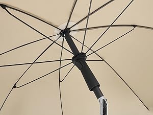 Parasol