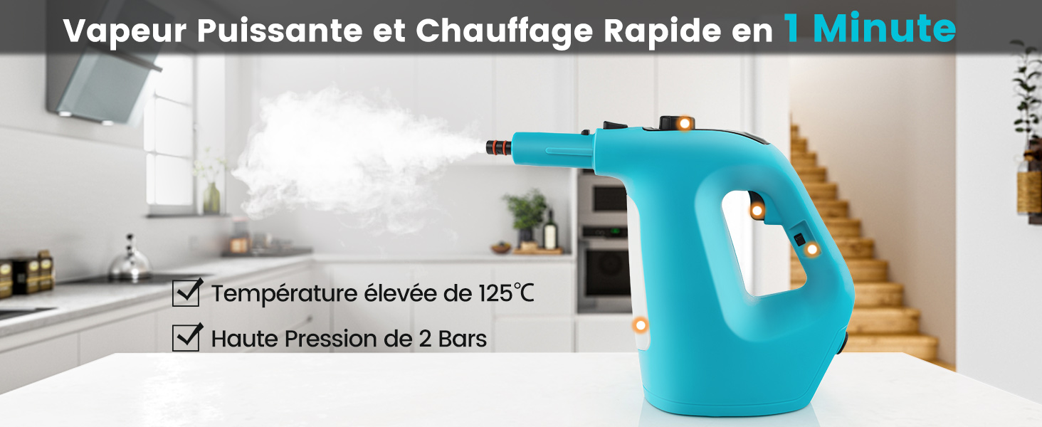 Nettoyeur Vapeur Portatif
