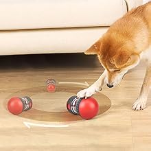 intelligenzspielzeug für hunde