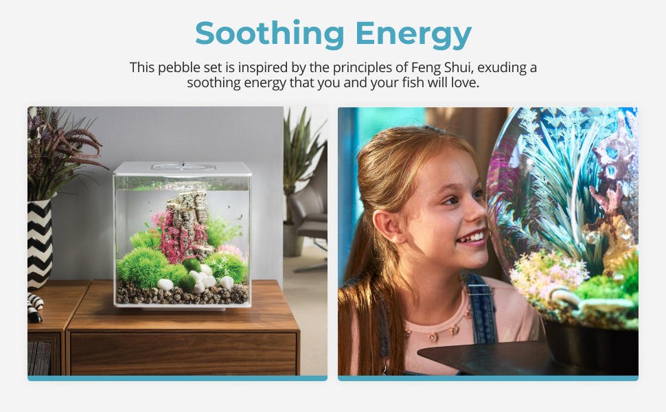 Text reads 'Soothing Energy'. Series of images showing aquarium setups in home environments, featuring colorful fish tanks with decorative elements and lighting.