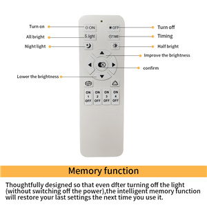 remote
