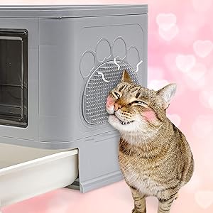 BingoPaw Toilette per Gatti chiusa con cassetto Cassettina Contenitori per lettiere igienica gatti