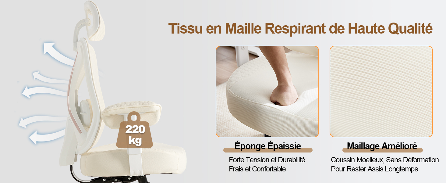 Chaise de Bureau Ergonomique