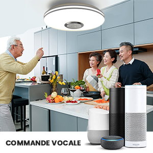 commande vocale