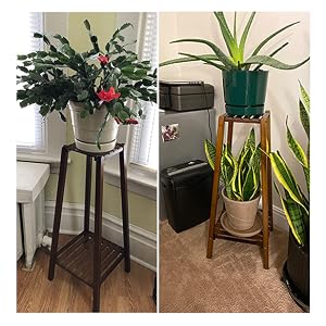 Taille S etagere