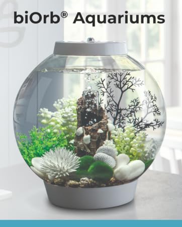 Text reads 'biOrb Aquariums'. Multiple spherical glass aquariums with minimalist designs featuring decorative elements like small trees, white stones, and green plants.