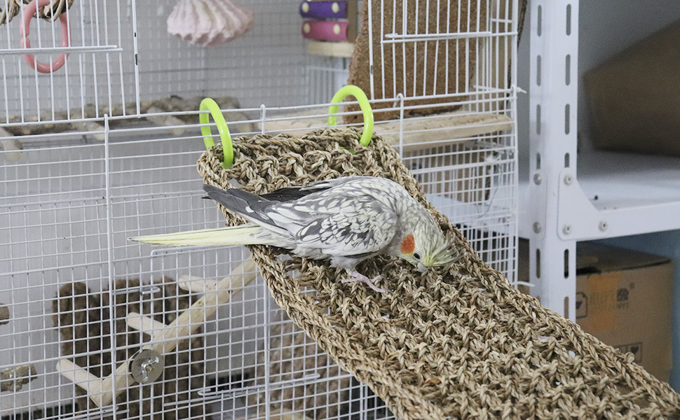 Bird Seagrass Mat