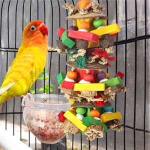 the parrot cage bird feeders for sale
