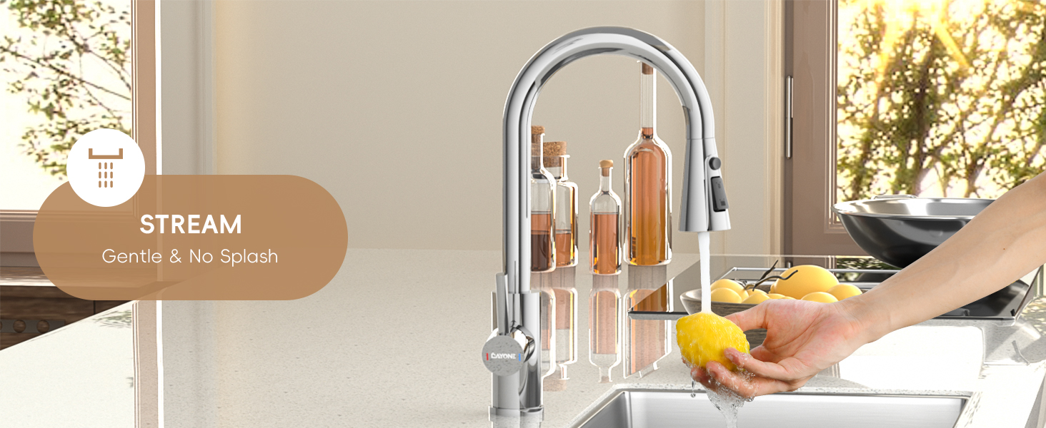 DAYONE Chrome Pull Out Kitchen Sink Mixer Tap, Stainless Steel Single Handle Taps Mixer