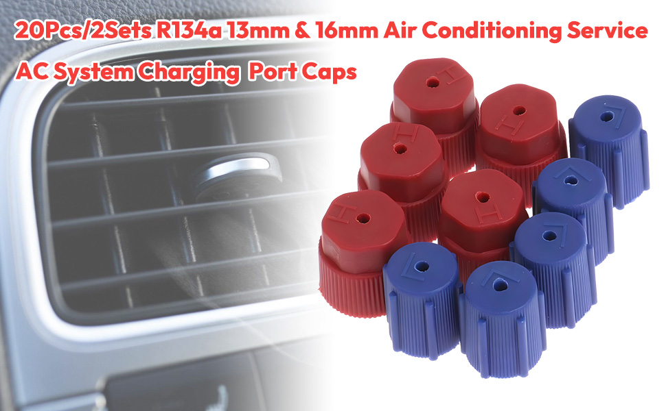 ac service port cap