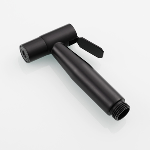 Acier Inoxydable Kit Douchette Toilette