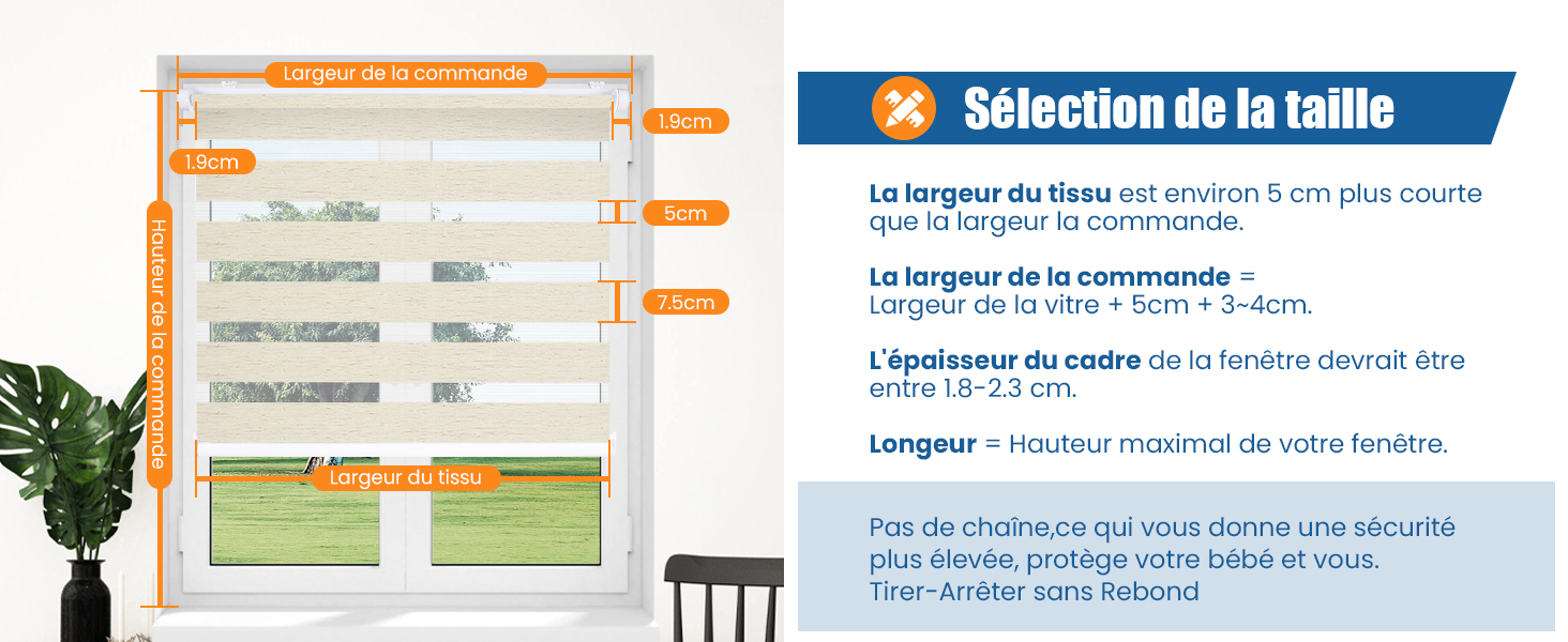 taille