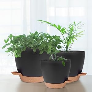 Lot de pots de fleurs