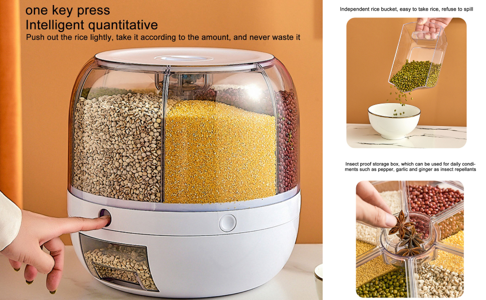 Grain Storage Organization