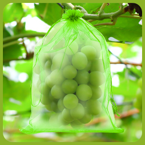 Sac de Protection de Raisin