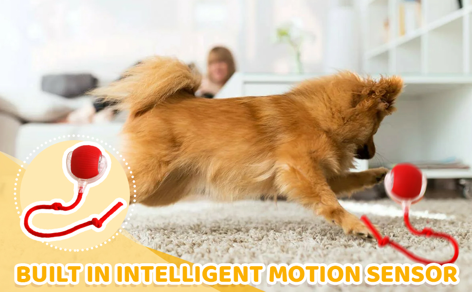 Interaktives Haustierspielzeug mit roten Bällen an gebogenen Drähten. Ein goldener Hund spielt auf einem Teppich mit einem Spielzeug. Der Text weist auf die Funktion 