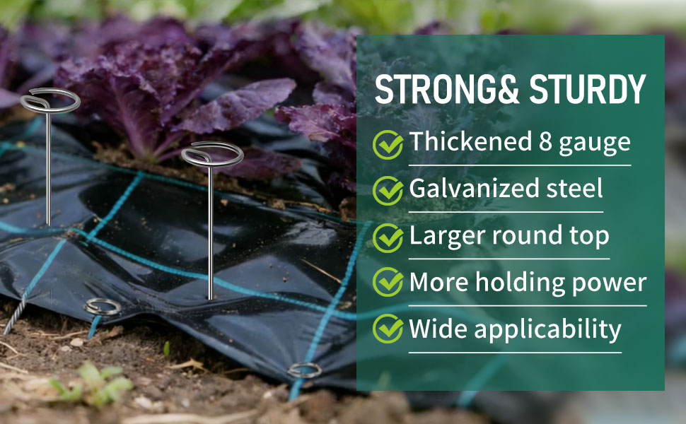 Text reads 'STRONG &amp; STURDY', 'Thickened 8 gauge', 'Galvanized steel', 'Larger round top', 'More holding power', 'Wide applicability'. Garden stakes or plant supports shown in outdoor setting.