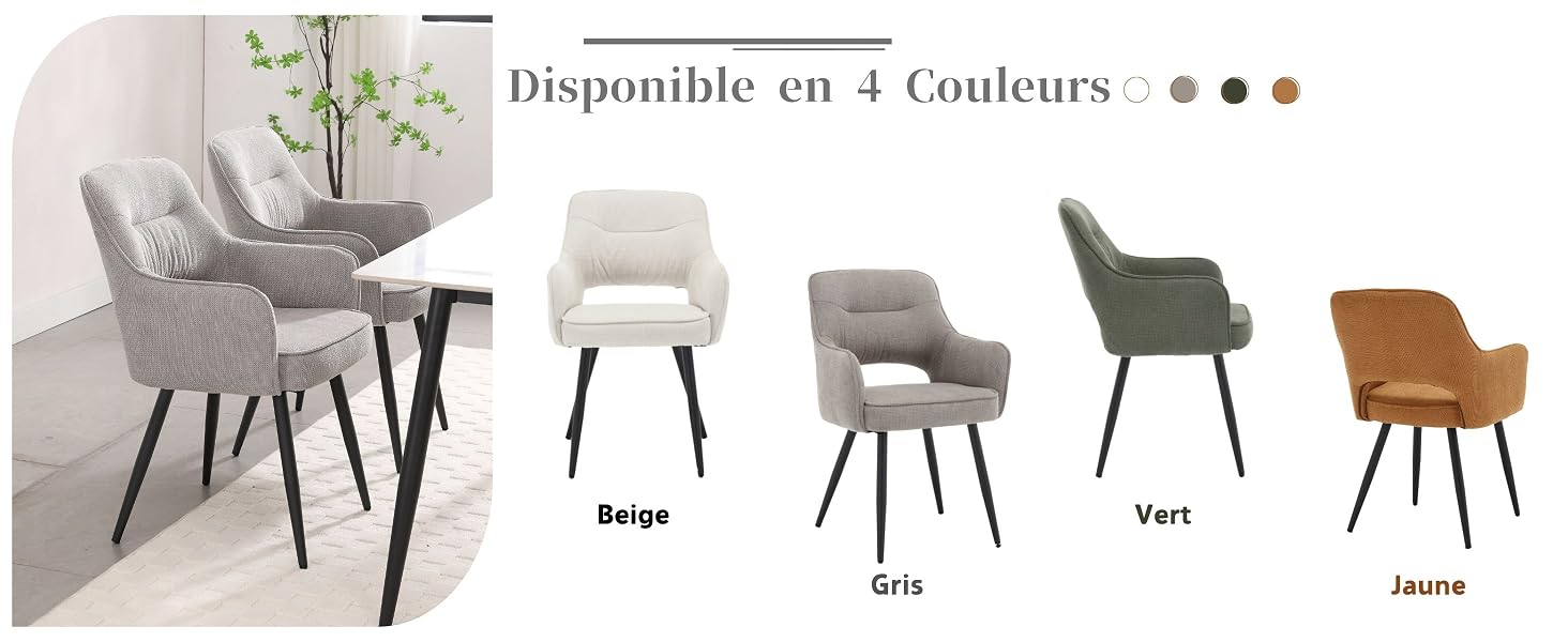 Fauteuil de Salon