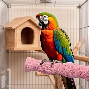 aplus content image
