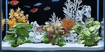 Aquarium setup with colorful tropical fish, featuring white coral structures, mixed green aquatic plants, and orange-yellow vegetation against black background.