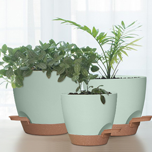 Lot de pots de fleurs