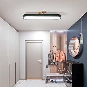 Eiinee Modern Dimmable Ceiling Light, Acrylic Linear LED Ceiling Lamp with Remote