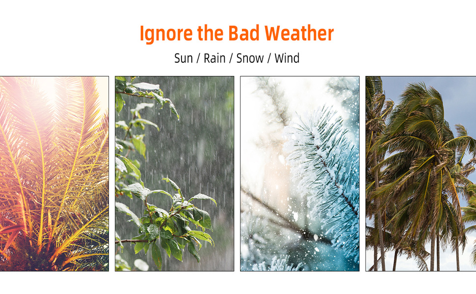 Canile da Esterno con Tetto Robusto Sicuro con Serratura Box Gabbia Protezione Recinzione per Cani