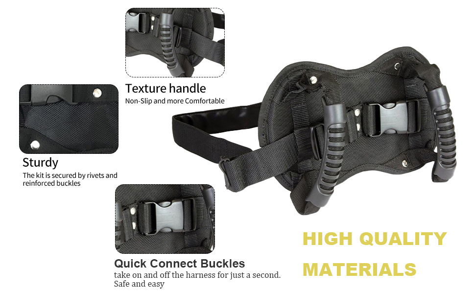 the ultimate safety belt for your dog