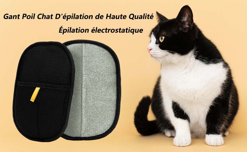 SHENGYIG 2 Pièces Gant Poil Chat, Double Face Brosse Poils Animaux, Réutilisable Brosse Anti Poils Animaux Pour Lavage DémêLage Et Toilettage, Gant Brosse Chat Pour Canapé Meubles Tapis Siège Auto