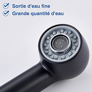 Douchette Robinet