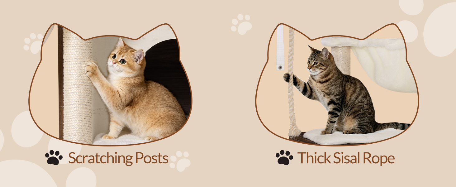 Le texte se lit comme suit: « Poteaux à gratter », « Corde en sisal épaisse ». Deux meubles pour chats beiges présentés: un griffoir cylindrique et un meuble pour chat à plusieurs niveaux avec une enveloppe en corde de sisal.