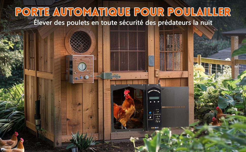 Pollaio automatico solare con porta